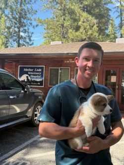 A veterinarian holds a small puppy outside Mother Lode Veterinary Hospital on a sunny day.